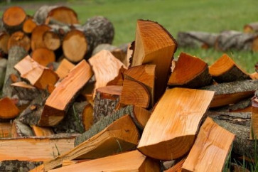 Дрова абрикос колоті (30-33см) Ціна за складометр
