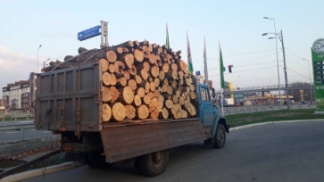 Дрова метрівка суміш твердих порід (1м): дуб, граб, ясен, акація. Ціна за складометр