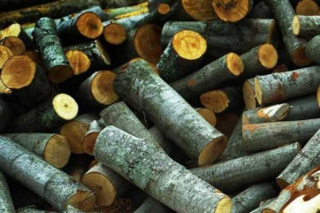 Дрова метрівка ТОНКОМЕР тверді породи: Дуб, Граб, Ясень, Акація Опт від 50 складометрів